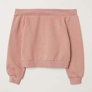 Blush Pink Off-the-Shoulder Sweater/Sweatshirt